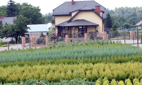 Rostliny ze školky Czarneccy - fotografie 6